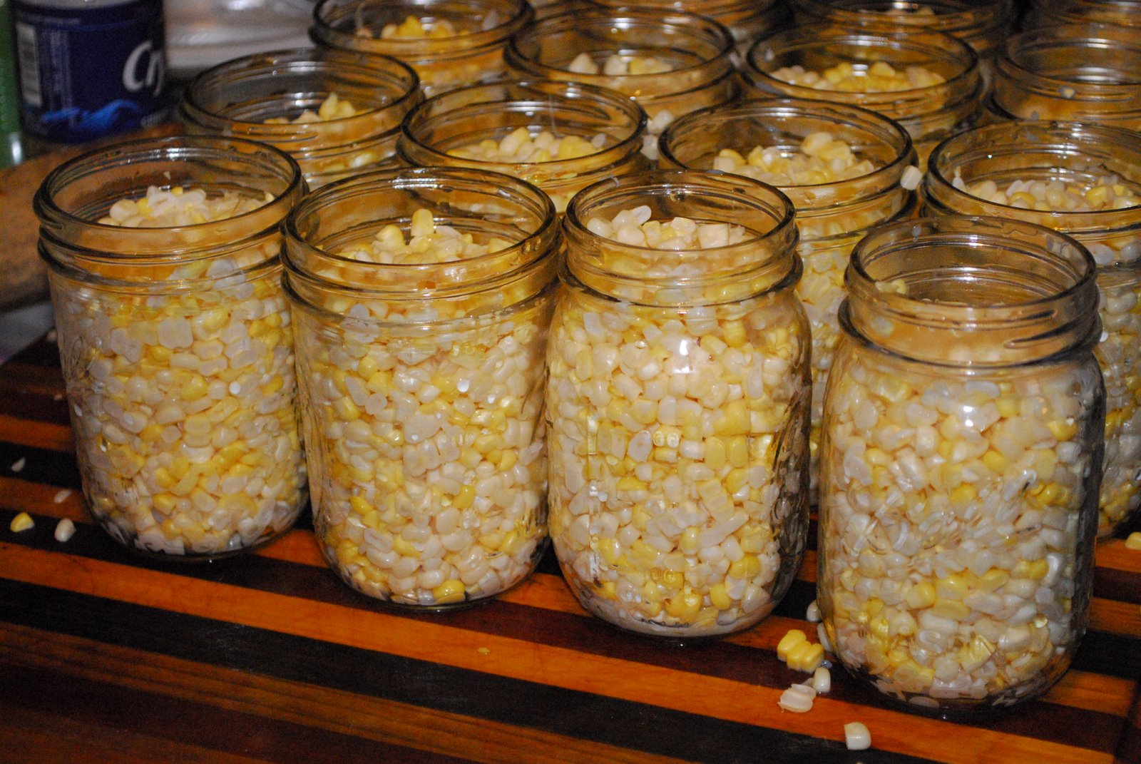 [Gerald+and+canning+218.JPG]