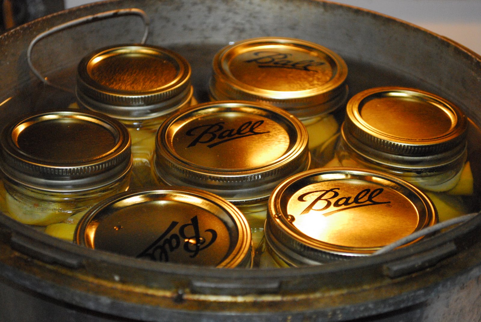 [Gerald+and+canning+214.JPG]