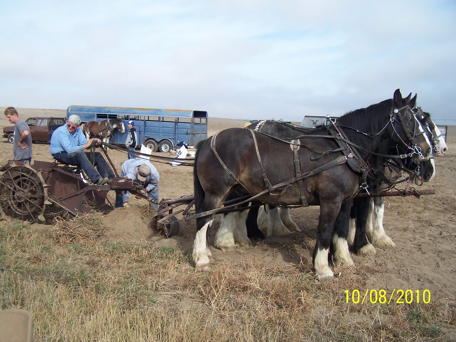 Intermountain Draft Horse and Mule Association Some pictures