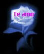 te amo
