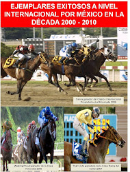 Ejemplares exitosos a nivel internacional por México 2000 - 2010