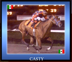 Casty (2005)