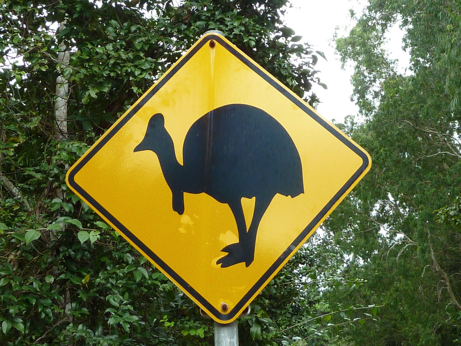 Mary's World Great Road Signs