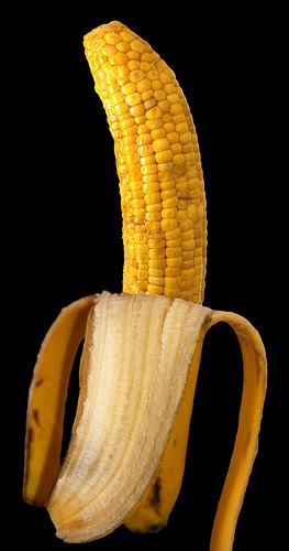 bananas before gmo