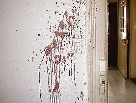 Bloodstain Pattern Analysis Services and Blood Stain