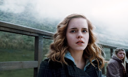 who was hermione granger 5