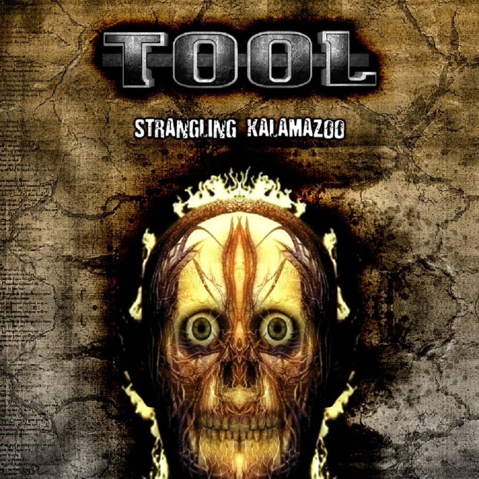 Tool living. Tool "Aenima". Tool Forty Six 2 обложка. Aenima CD. Tool Aenima California.
