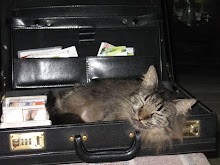 Alleycat
