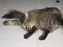 Morning lick