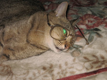 Skinno taking a catnap after reading