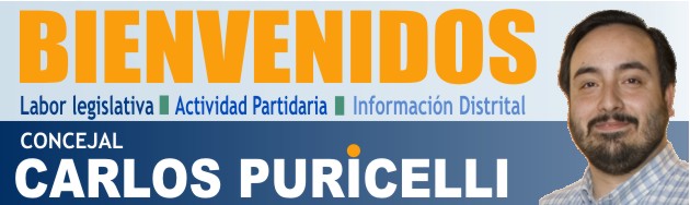 Proyectos Presentados Concejal Carlos Puricelli