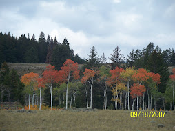 Otoño de colores