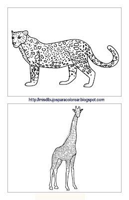 Dibujos de animales (3ª parte) : Mis dibujos para colorear