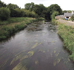 Bann Stream,  County Wexford, Ireland