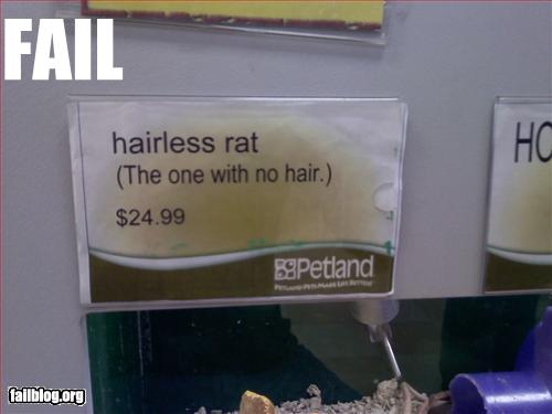 Petstore Fail