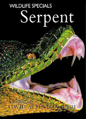928-BBC Wildlife Specials - Serpent 2008 DVDRip Türkçe Altyazı