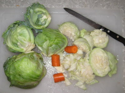 Chunked garden cabbage & boughten carrots