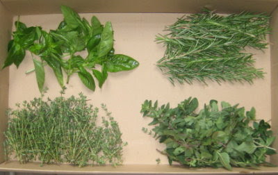 Homestead garden grown herbs