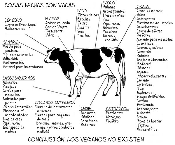 vacas.jpg