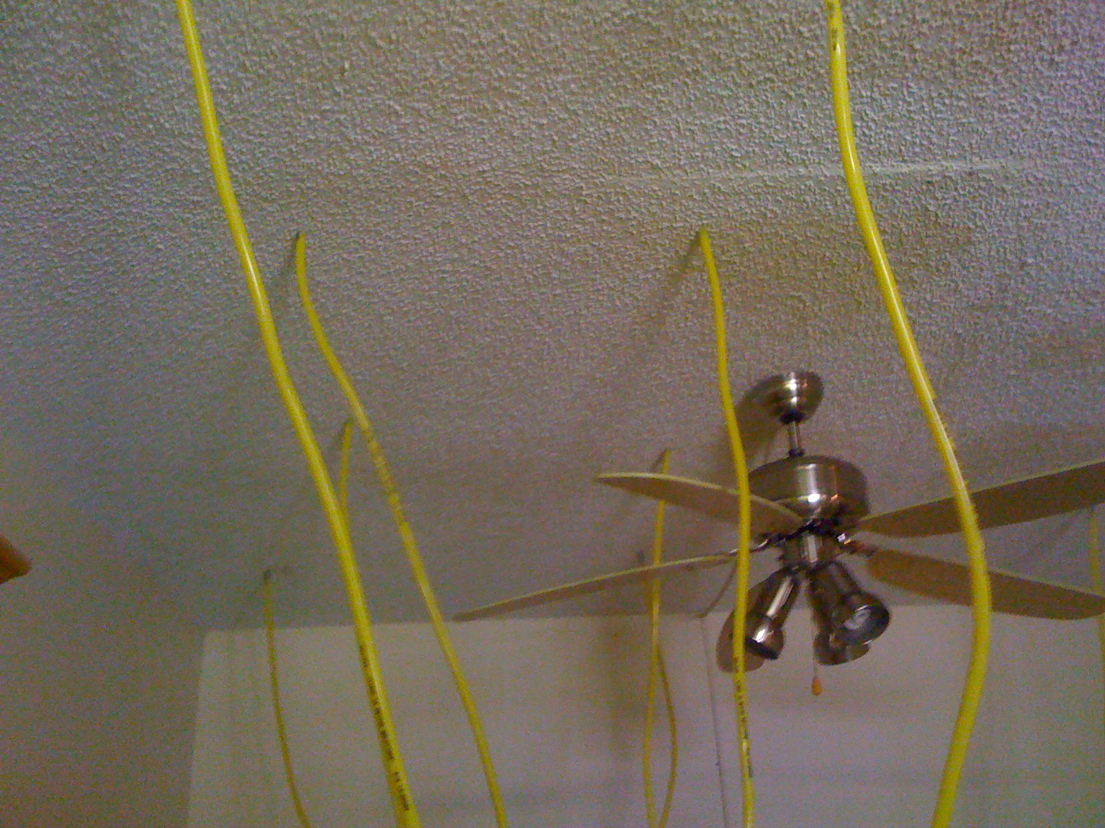 Mold Removal Springfield Mold Removal Springfield