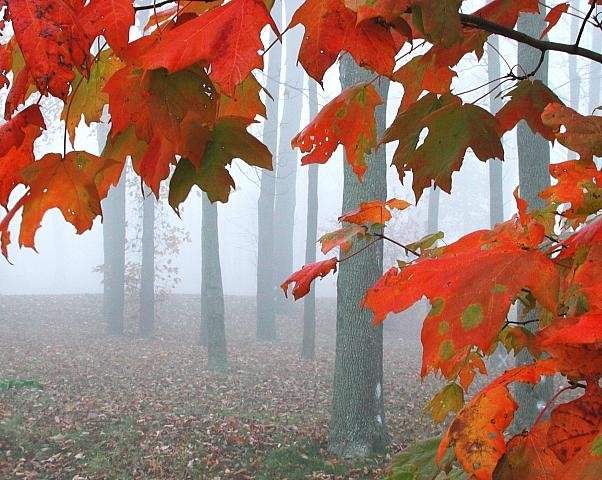 [Disfruta_[1].__014.jpg]