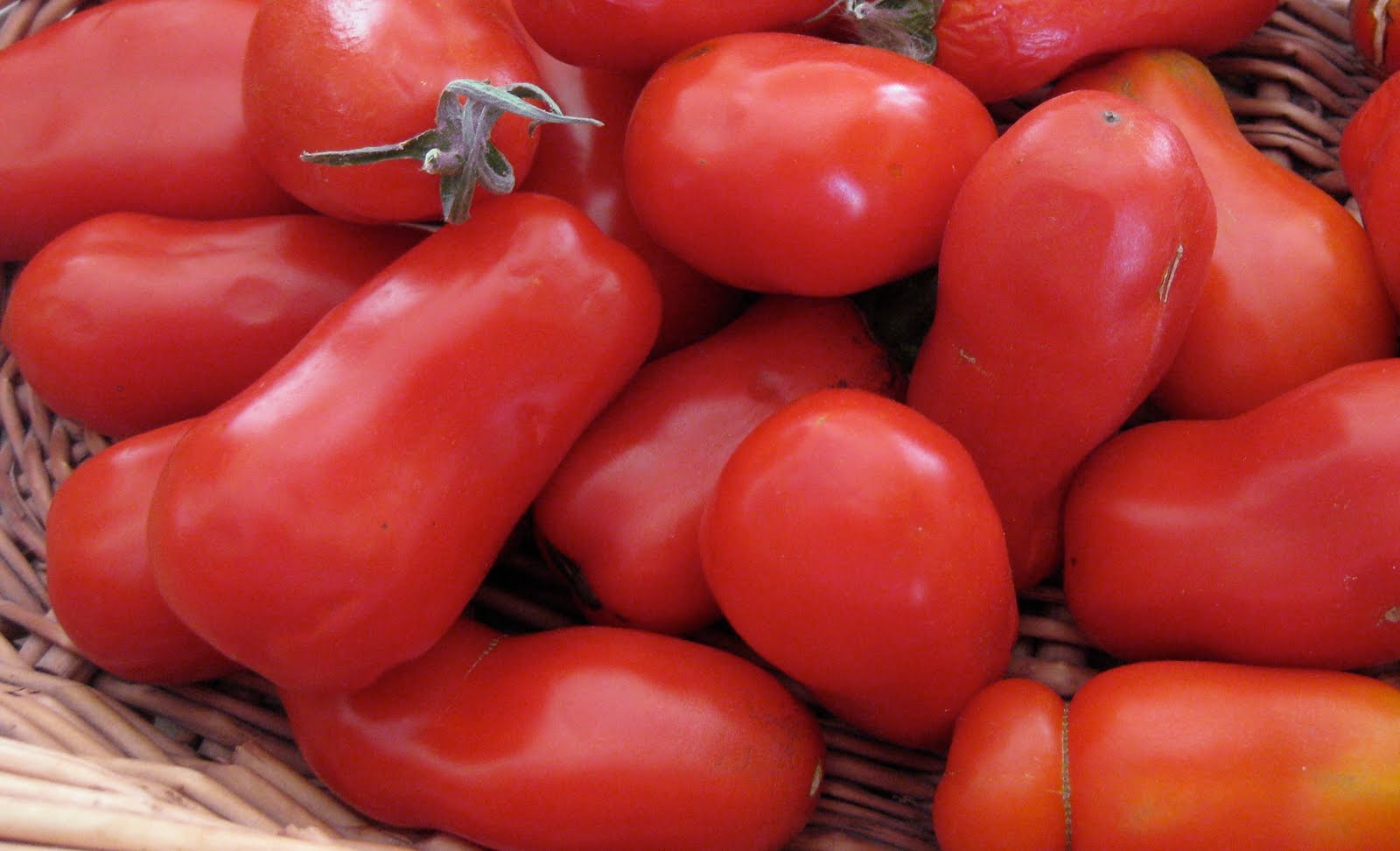 The Bloomin' Blog: My First Crop of San Marzano Tomatoes are Ready!