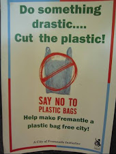 NO a las bolsas Plásticas