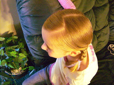 Kenny Do's: Pippy Long Stockings Braids