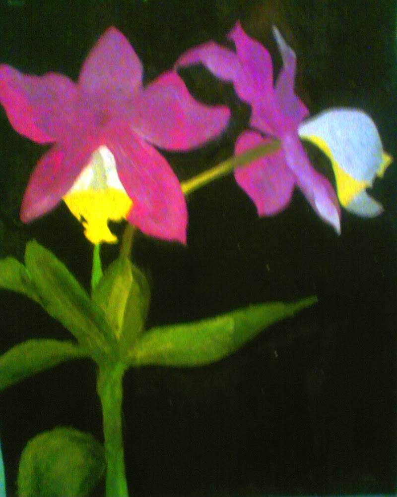 20+ Contoh Lukisan Bunga Orkid, Gambar Keren!
