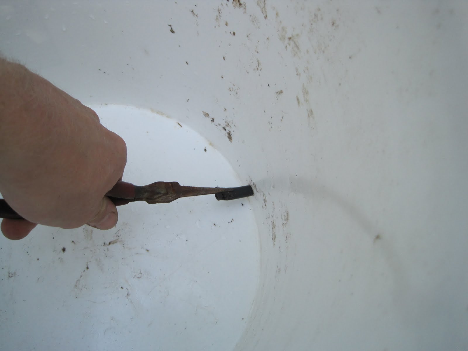 FRESH FARMING Bell Waterer HowTo Guide