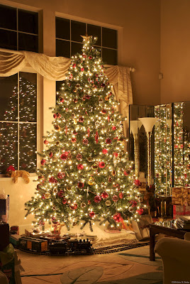 Especial de Fin de Año (Fotos de Árboles de Navidad)