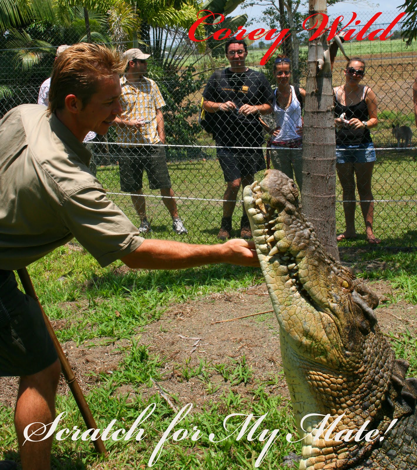 Corey Wild Wildlife Adventurer/Conservationist: Corey Wild Wildlife 