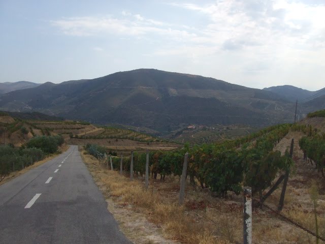 [DSCF2325.JPG]