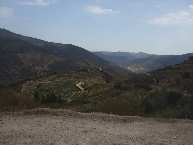 [DSCF2311.JPG]