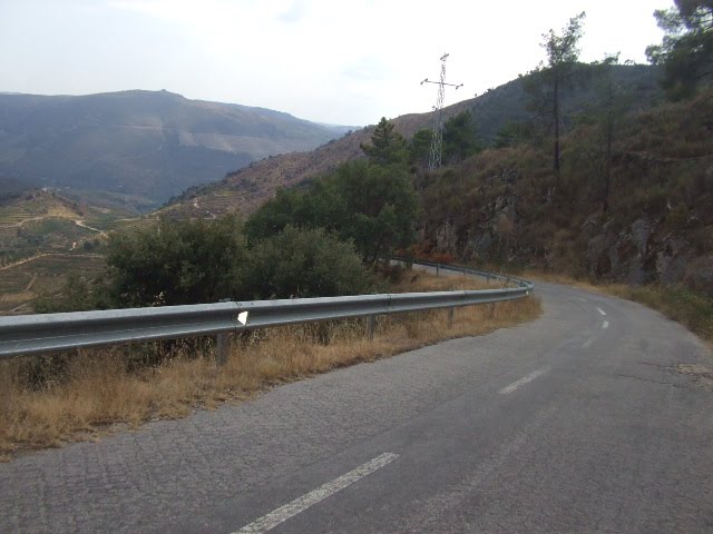 [DSCF2302.JPG]