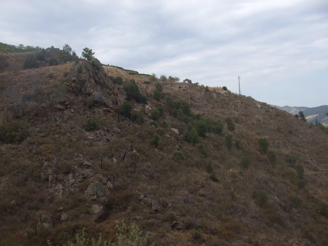 [DSCF2295.JPG]