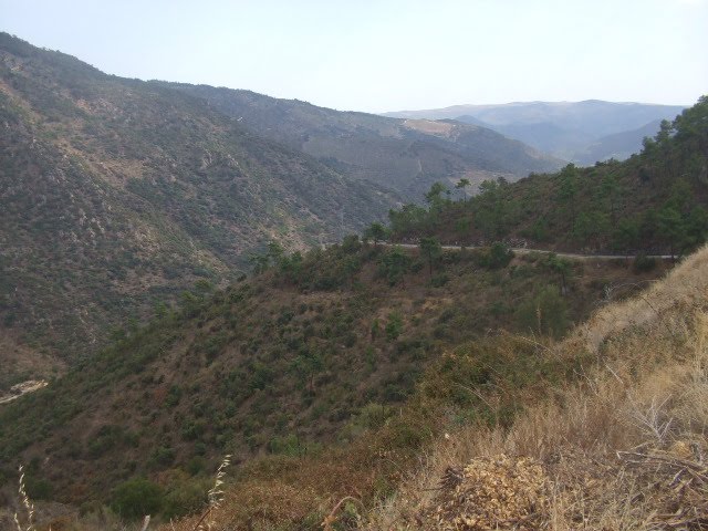 [DSCF2292.JPG]