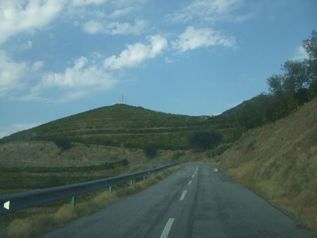[DSCF2407.JPG]