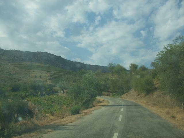 [DSCF2406.JPG]