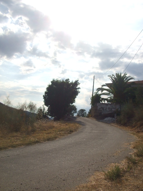 [DSCF2404.JPG]
