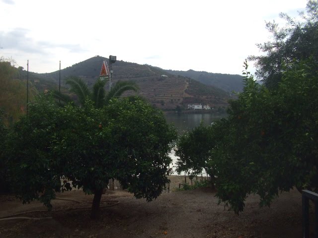 [DSCF2365.JPG]