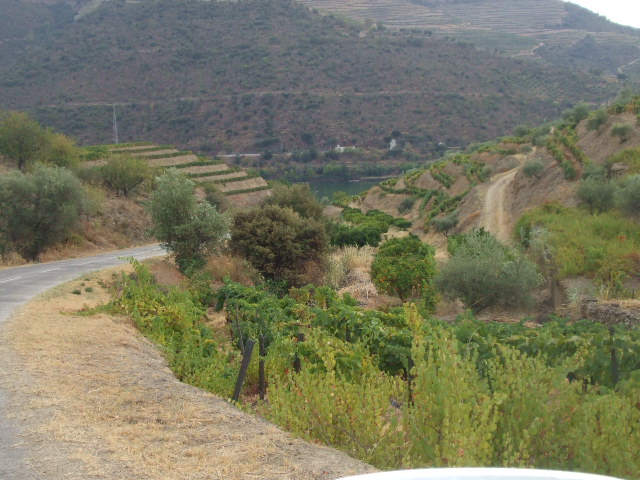 [DSCF2360.JPG]