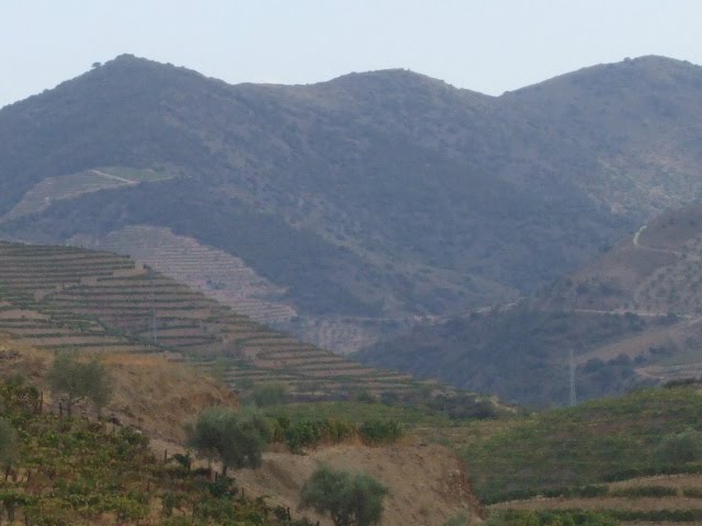 [DSCF2357.JPG]