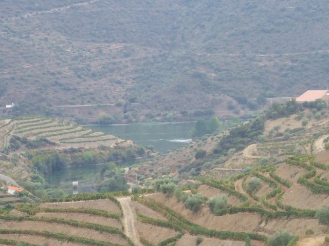 [DSCF2337.JPG]