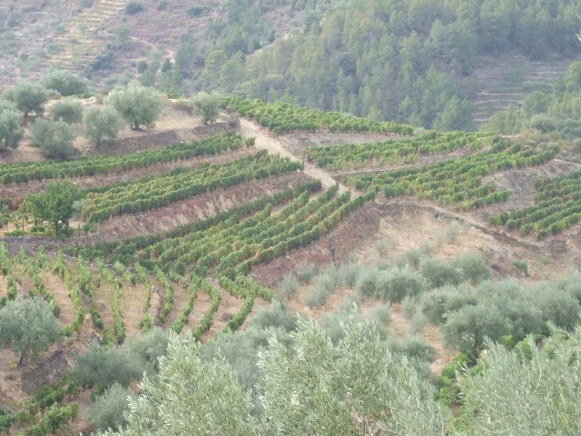 [passeios+098.JPG]