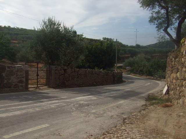 [passeios+090.JPG]