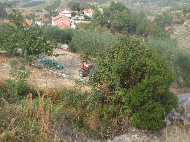 [passeios+048.JPG]