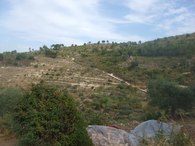 [passeios+045.JPG]