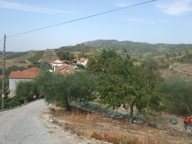 [passeios+044.JPG]
