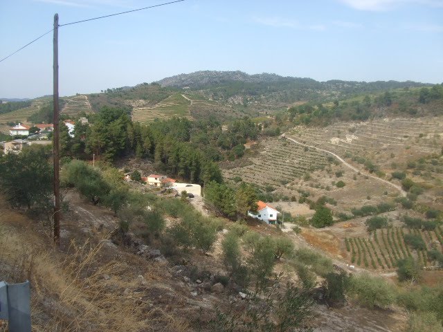 [passeios+032.JPG]